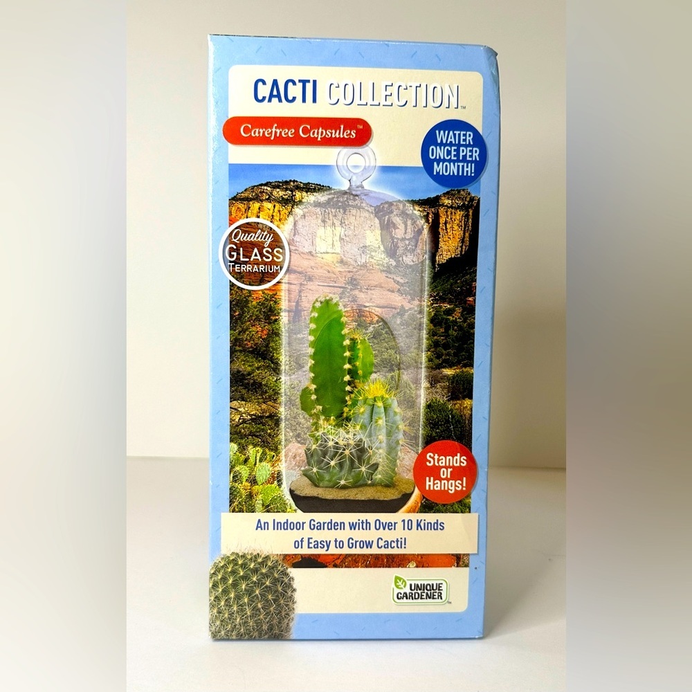 Cactus terrarium capsule grow your own​